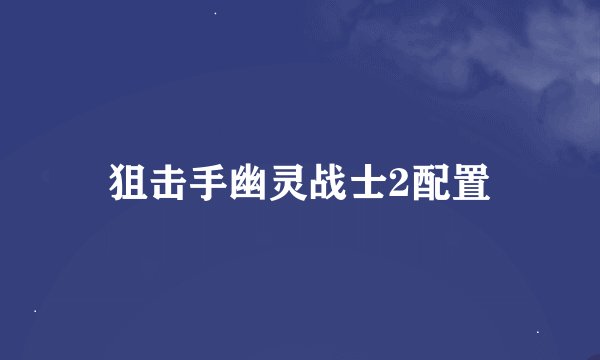 狙击手幽灵战士2配置