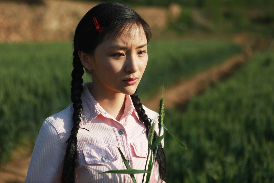 葵花进城第二部叫什么