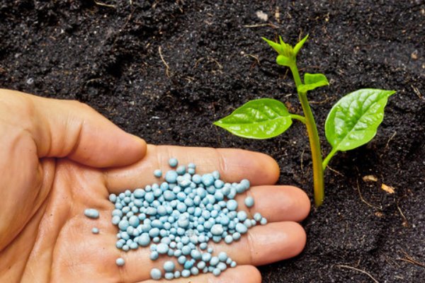 叶面肥排名榜前十名