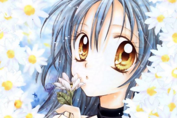 动漫 寻找满月 里的所有歌曲是什么、