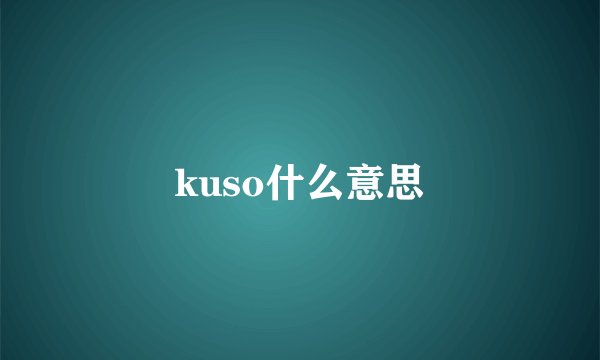 kuso什么意思