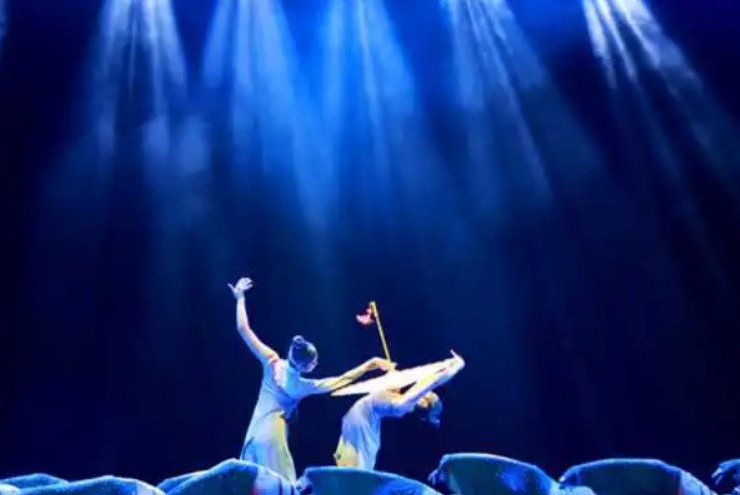 剧目舞蹈独舞桃李杯