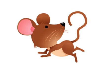 改头换面是什么生肖