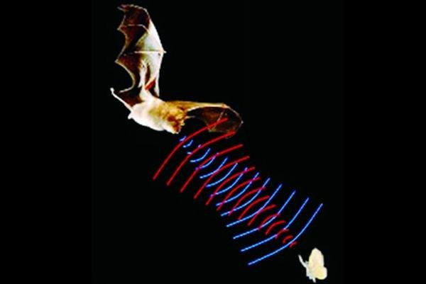 人类通过什么发明了什么?