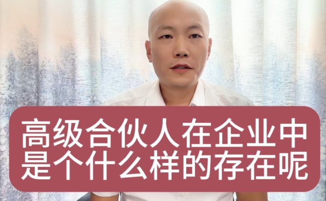 什么叫高级合伙人