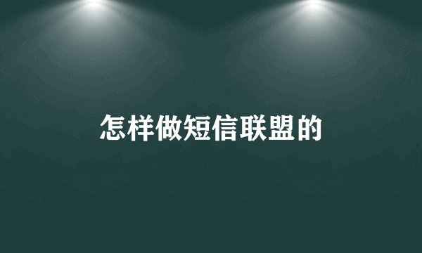 怎样做短信联盟的
