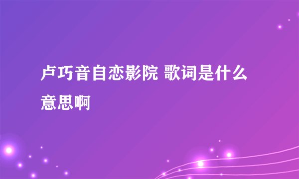 卢巧音自恋影院 歌词是什么意思啊