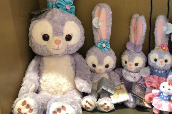 上海95后女生收藏数百只星黛露，她收藏这么多星黛露有什么意义？