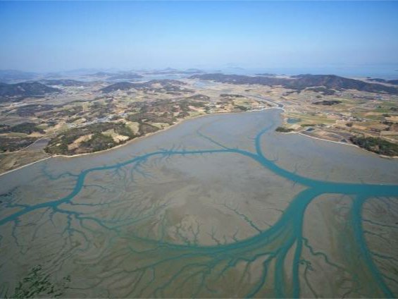 韩国滩涂申遗被联合国退回，是什么原因？