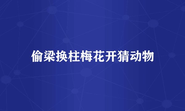 偷梁换柱梅花开猜动物