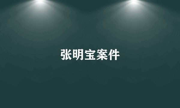 张明宝案件