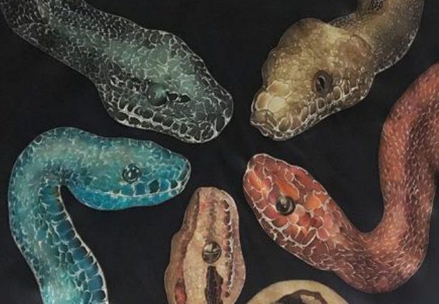 家里来蛇，代表什么好事？