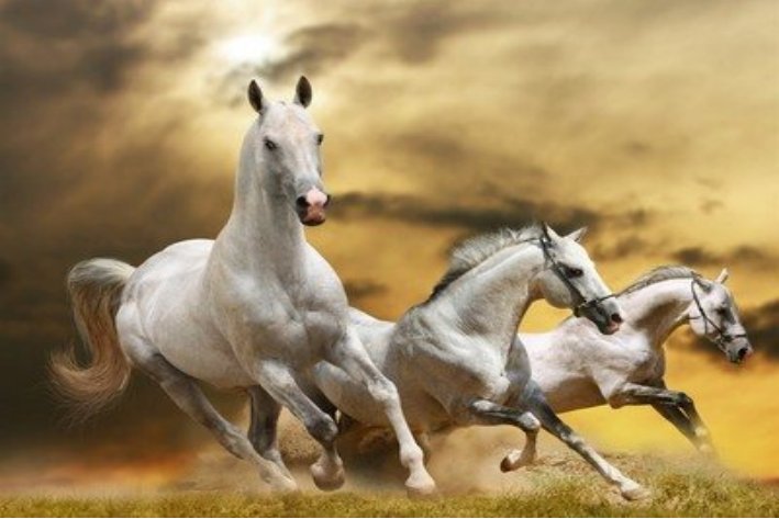 铁树银花送英雄是指什么生肖