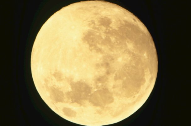 月字偏旁的字大多和什么有关