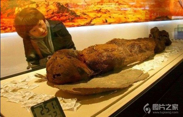 特灵娜的科学研究