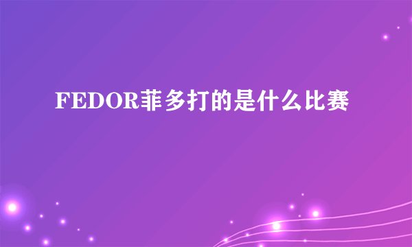 FEDOR菲多打的是什么比赛