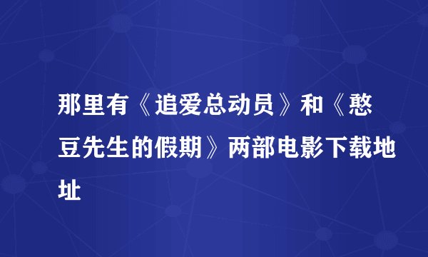 那里有《追爱总动员》和《憨豆先生的假期》两部电影下载地址