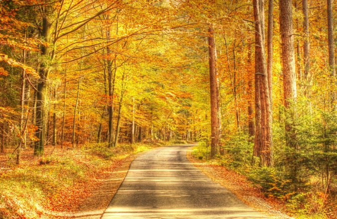 用虚组词是什么