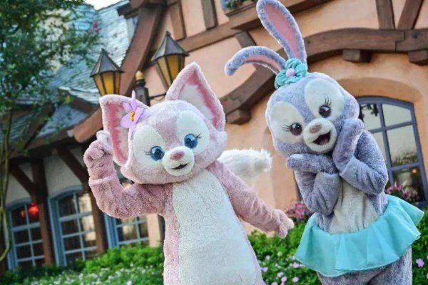 上海95后女生收藏数百只星黛露，她收藏这么多星黛露有什么意义？