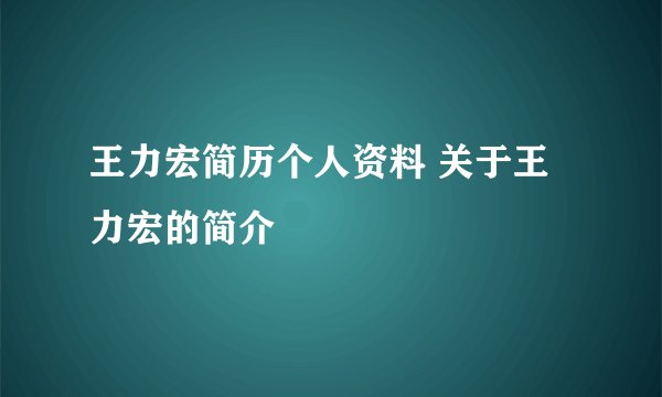 王力宏简历个人资料 关于王力宏的简介