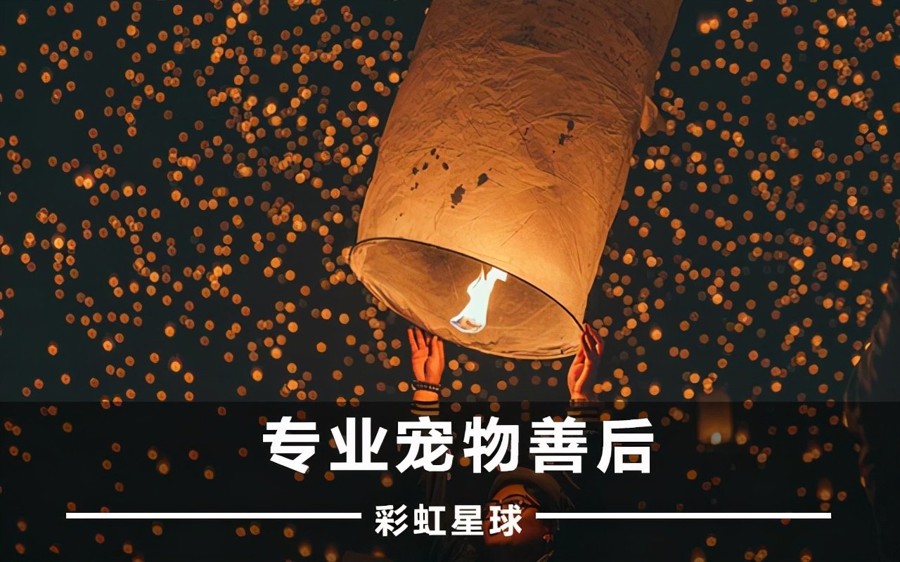 狗狗死了怎么处理？