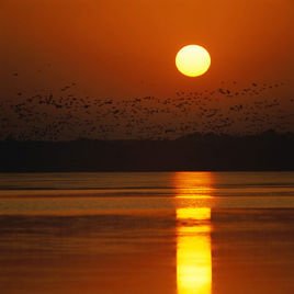 （张孝祥）观月记的全文的翻译