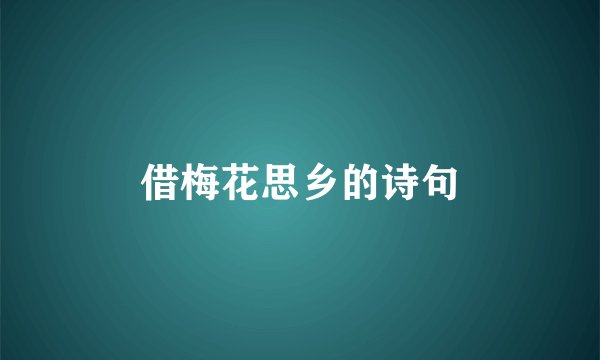 借梅花思乡的诗句