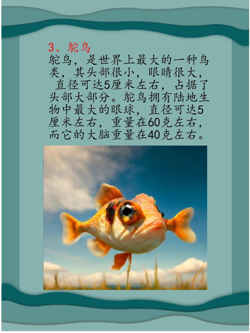 什么动物眼睛比脑袋大