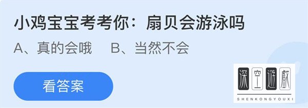 扇贝会游泳吗，求助