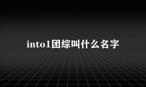 into1团综叫什么名字