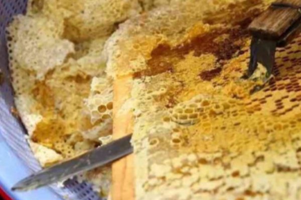 如何把蜂蜜从蜂盘中沥出来