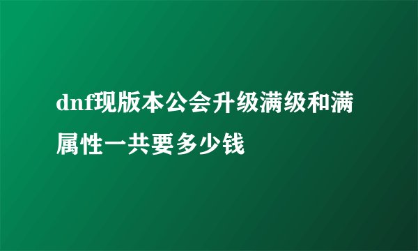 dnf现版本公会升级满级和满属性一共要多少钱
