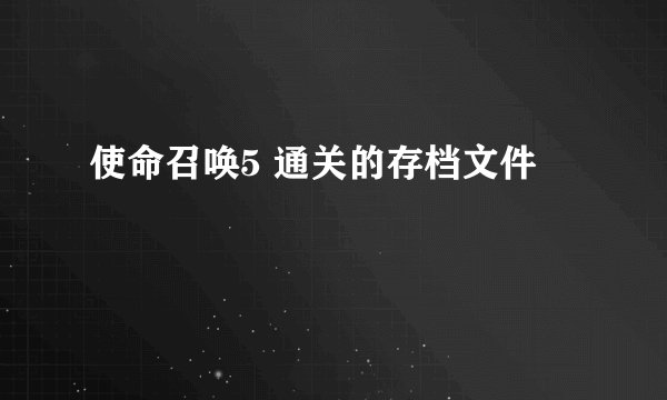 使命召唤5 通关的存档文件