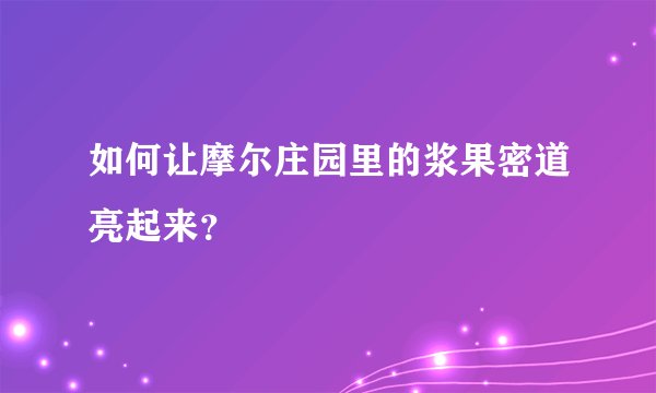 如何让摩尔庄园里的浆果密道亮起来？