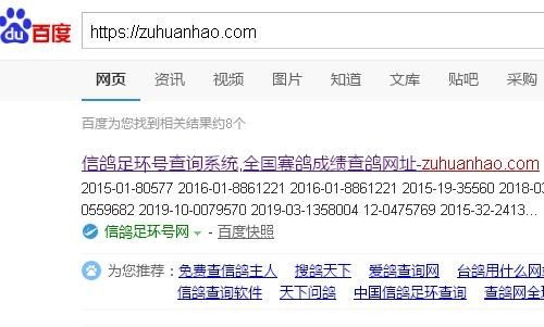 信鸽足环号怎么查询？