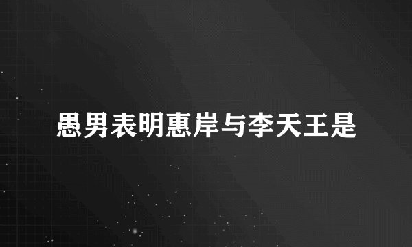 愚男表明惠岸与李天王是