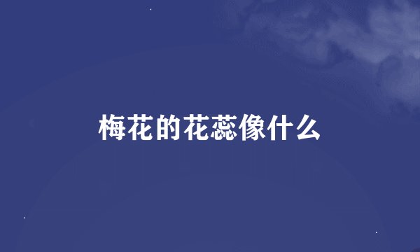 梅花的花蕊像什么