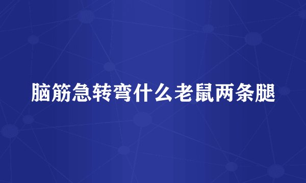 脑筋急转弯什么老鼠两条腿