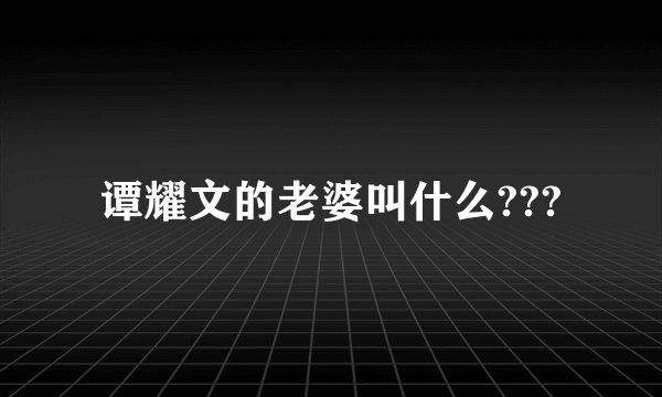 谭耀文的老婆叫什么???