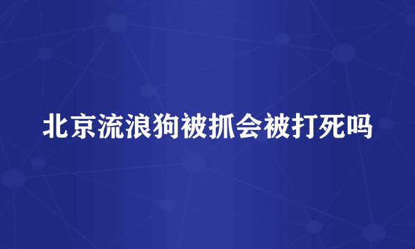 北京流浪狗被抓会被打死吗