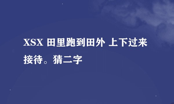 XSX 田里跑到田外 上下过来接待。猜二字