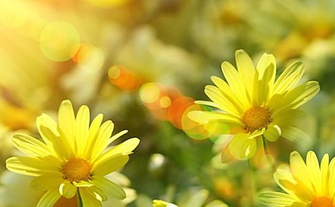 新年快乐英语怎么说？