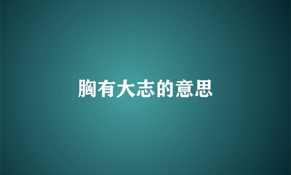 胸有大志的意思