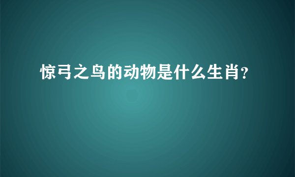 惊弓之鸟的动物是什么生肖？