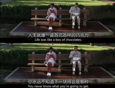 生活就像一盒巧克力，你永远不知道下一块将是什么味道。