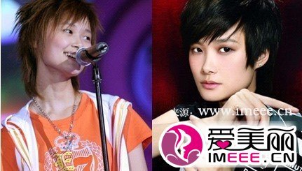 李宇春整容死的简介