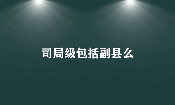 司局级包括副县么