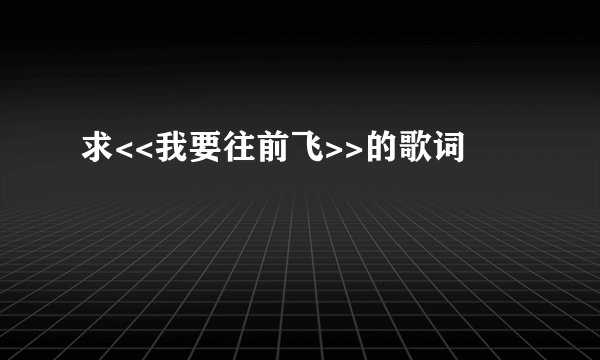 求<<我要往前飞>>的歌词