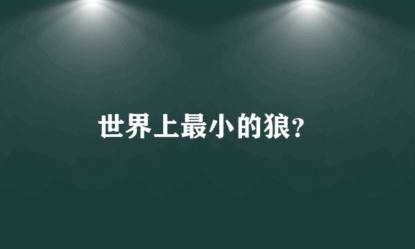 世界上最小的狼？