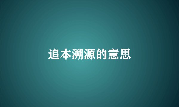 追本溯源的意思